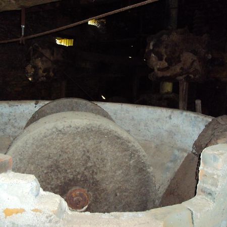 Willa Parque Tematico Vale De Mouro Zewnętrze zdjęcie