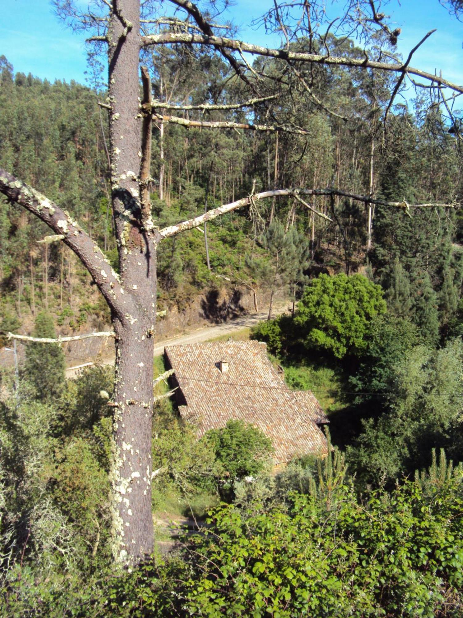 Willa Parque Tematico Vale De Mouro Zewnętrze zdjęcie